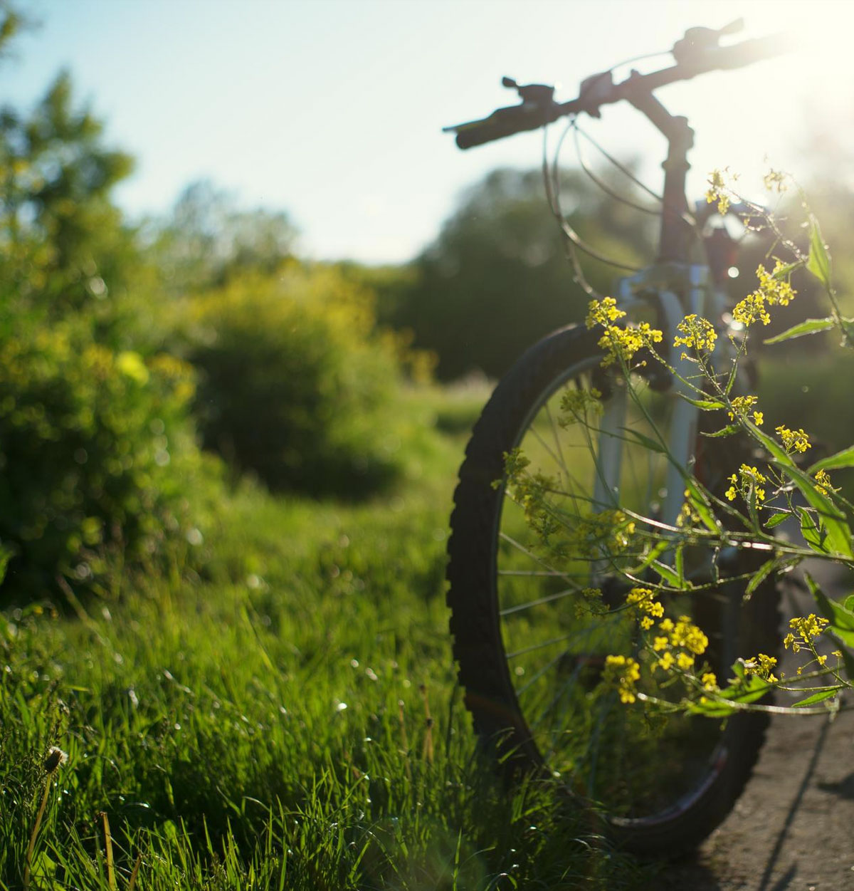 Gästehaus Kraft – Tagesausflug in Lauffen am Neckar Gästehaus Kraft - Tagesausflug in Lauffen am Neckar